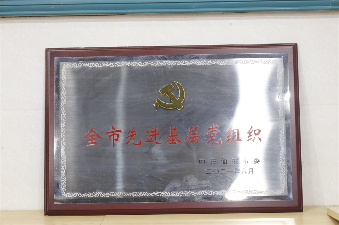 全市先进基层党组织